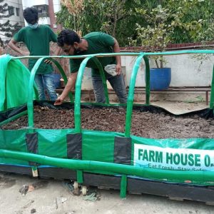 মুভেবল গ্রিন হাউজ ৫০ স্কয়ার ফিট