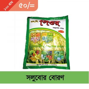 সলুবোর বোরন