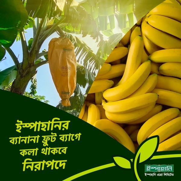 কলার ব্যাগ(Banana Fruit Bag)-৫০ টাকা পিস