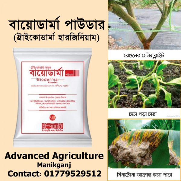 বায়োডার্মা পাউডার (ট্রাইকোডার্মা হারজিনিয়াম)-৫০০ গ্রামের প্যাকে-৫৩০ টাকা