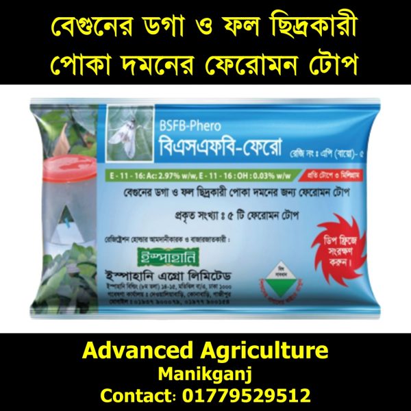 বিএসএফবি-ফেরো- বেগুনের ডগা ও ফল ছিদ্রকারী পোকা দমনের জন্য ফেরোমন টোপ-২ পিসের প্যাকে ৬০ টাকা