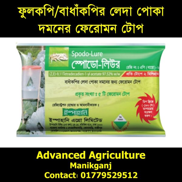 স্পোডো-লিউর- ফুলকপি/বাধাঁকপির লেদা পোকা দমনের ফেরোমন টোপ-২ পিসের প্যাকেট ১২০ টাকা