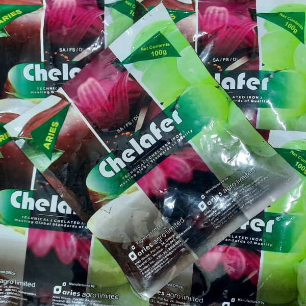 Chelated Iron (Chelafer) Fertilizer - 100gm Packet