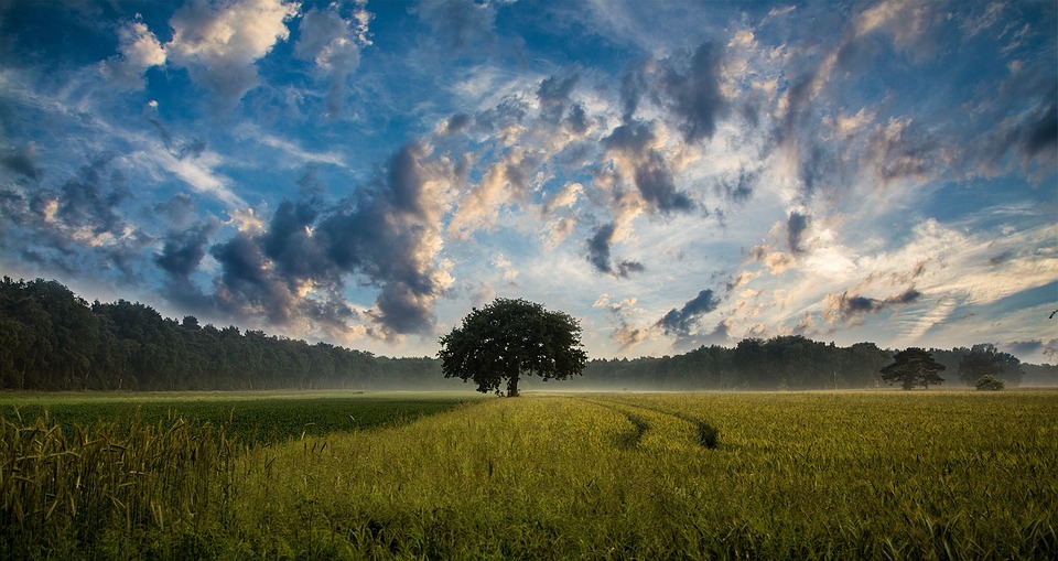 Agriculture