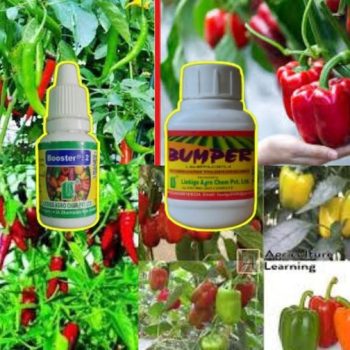 Booster-2(10 ml)
