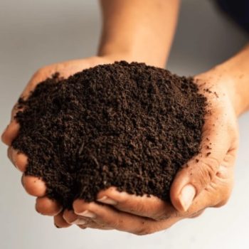 Vermicompost 1Ton (Organic Fertilizer/কেঁচো সার)