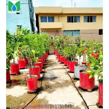 Drip  irrigation package 65 plants