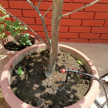 25 plants Automatic Drip  irrigation Package
