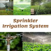 Sprinkler