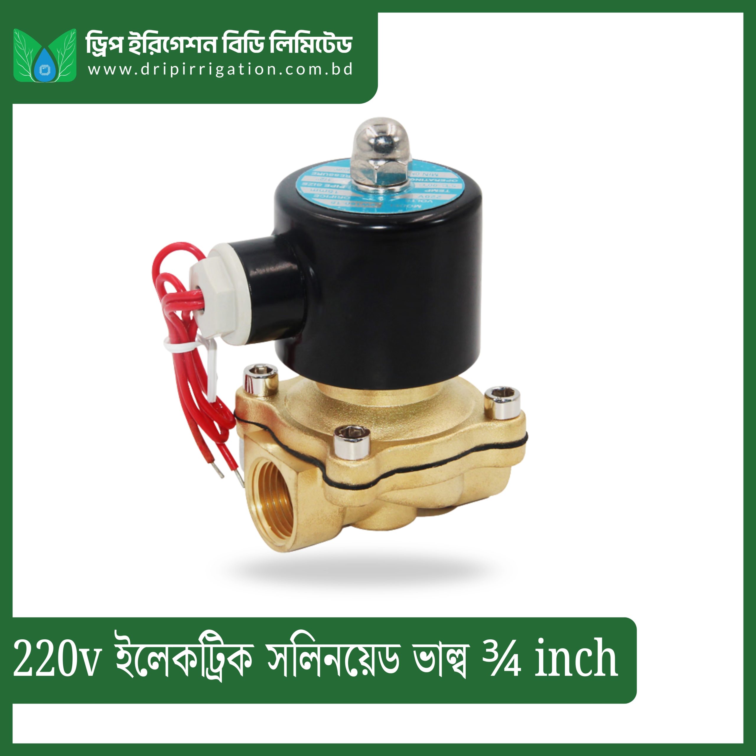 220v Electric Solenoid Valve ¾ inch