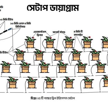 25 Plants Drip Irrigation Package -Special offer