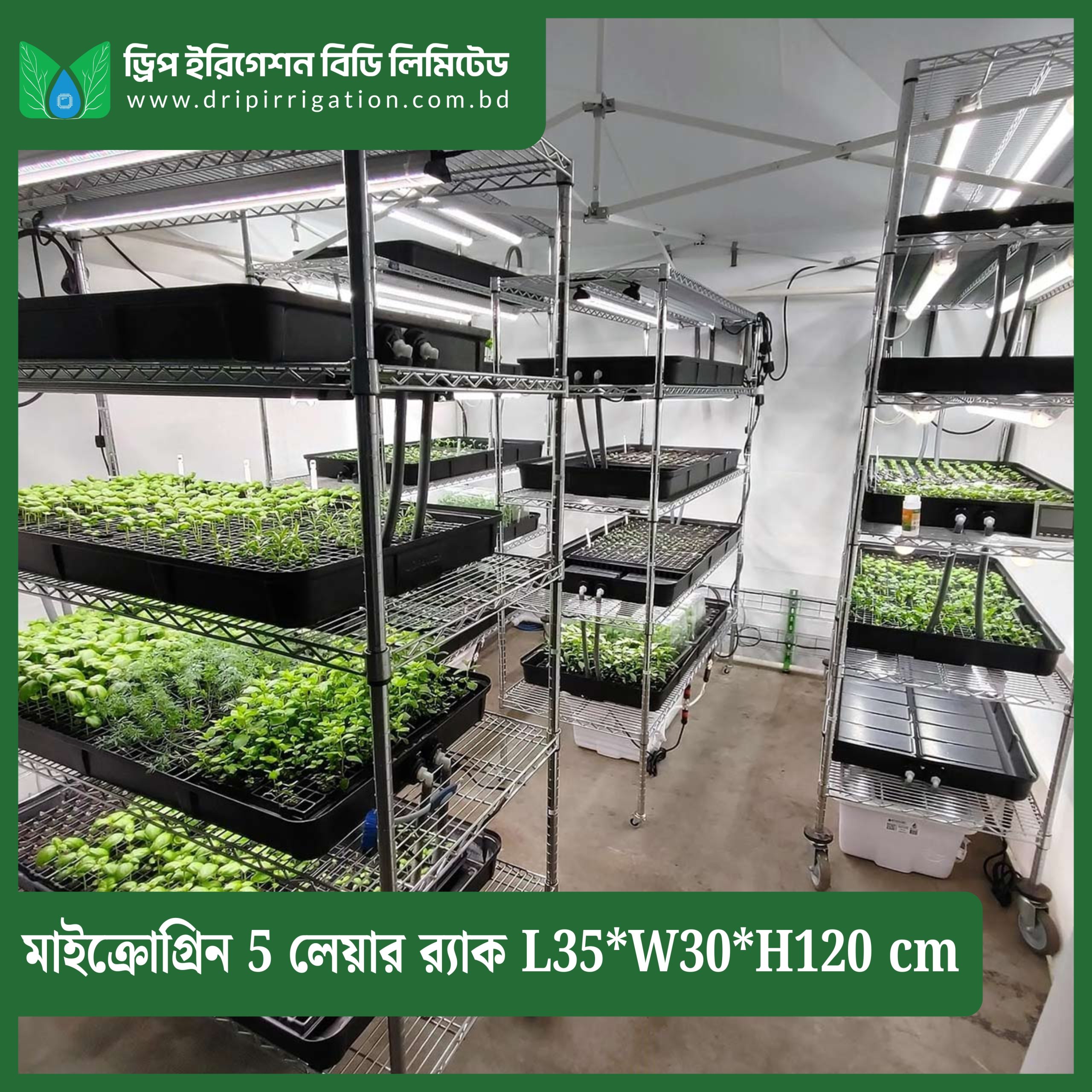 Microgreen 5 Layers rack L35*W30*H120 cm - Image 2