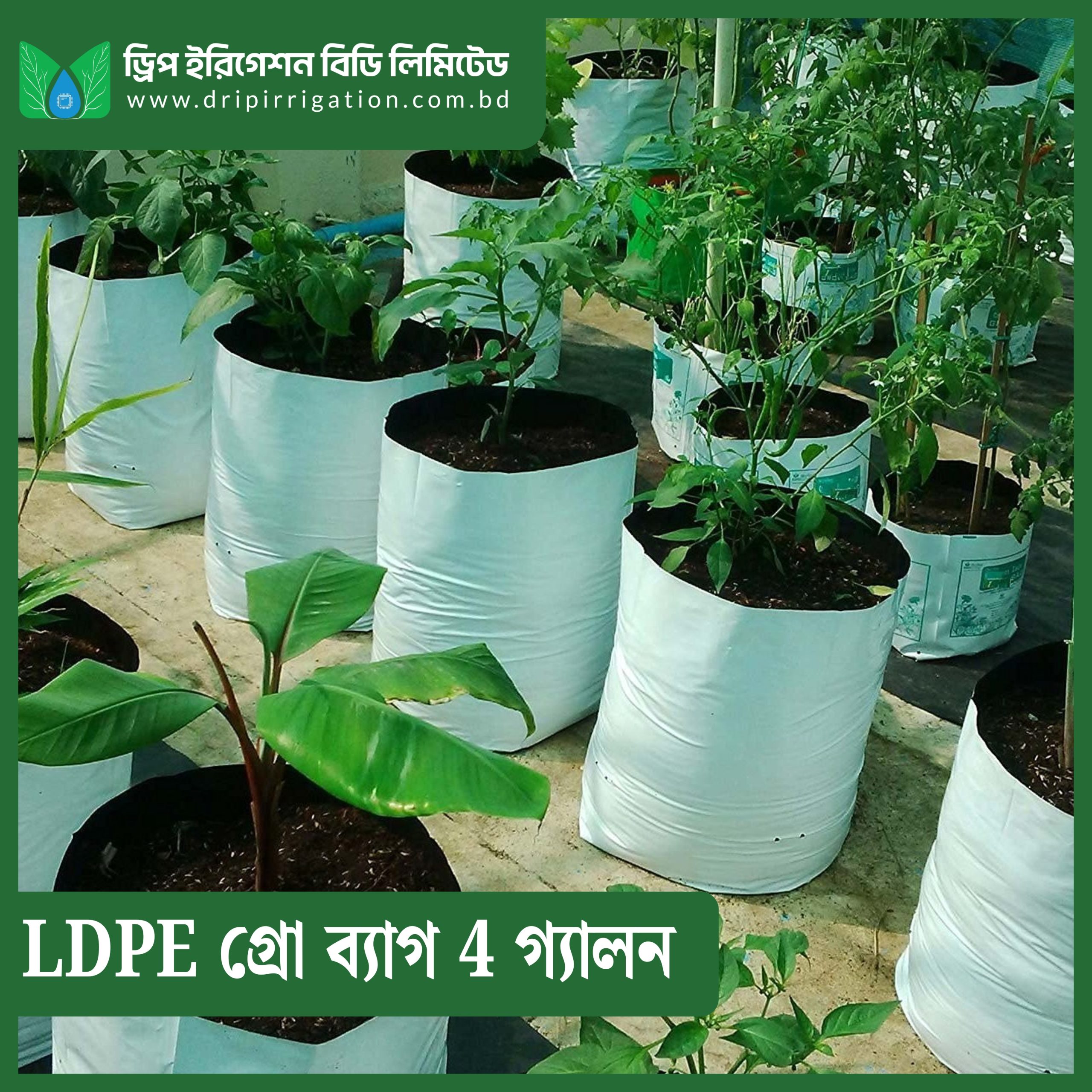 DIBL LDPE Grow Bag 4 Gallon - Image 2