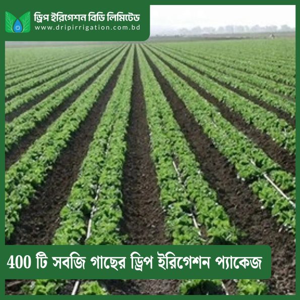 400 Plants Green Vegetable Drip irrigation package