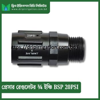 Pressure Regulator ¾ inch BSP 20PSI