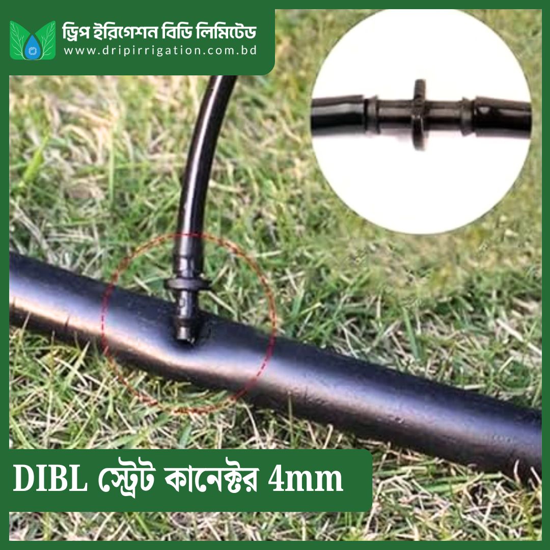 DIBL Straight Connector 4mm - Image 2