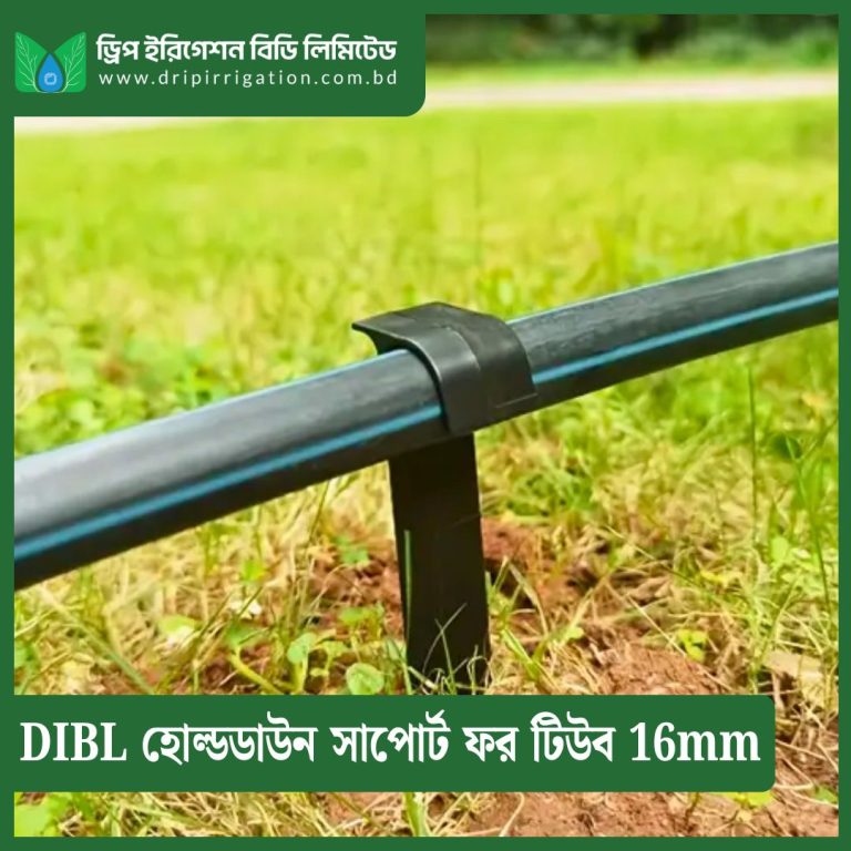 জমিতে কখন কতটুকু সেচ ও সার দেবেন? KrishiMela.bd-এর FAO CROPWAT সেচ ক্যালকুলেটর ও BARC সার গাইড