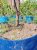 Automatic drip  irrigation package 50 plants