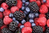 Fruit Exports from Bangladesh Set to Increase, Thanks to Growing Demand