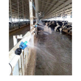 ডেইরি শেডে ফগিং ইরিগেশন