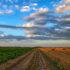 Krishimela.com.bd – bridging the gap between farmers and consumers