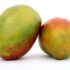 From Mangoes to Guavas: A Guide to Fruit Cultivation in Bangladesh