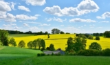 Efficient Farming Made Simple: The Benefits of Online Agri Input Purchases