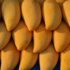 From Mangoes to Litchis: Bangladesh’s Exports of Fresh Fruits on the Rise