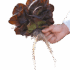 মরিচ চাষ