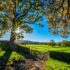 Efficient Farming Made Simple: The Benefits of Online Agri Input Purchases